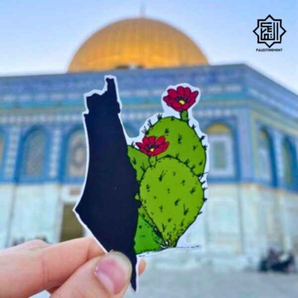 Magnets palestinian by Rand Dabboor (set of 3) - Image 10
