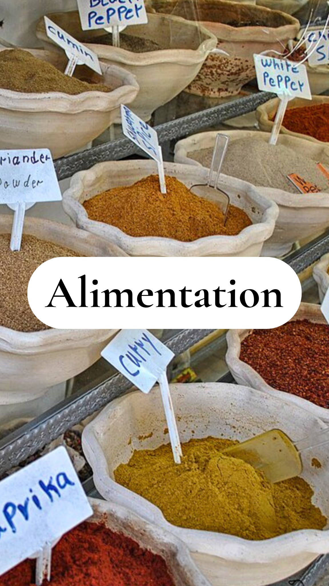 Alimentation & Cuisine 